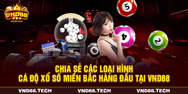 Chia sẻ các loại hình cá độ xổ số miền Bắc hàng đầu tại VND88 Chia sẻ các loại hình cá độ xổ số miền Bắc hàng đầu tại VND88