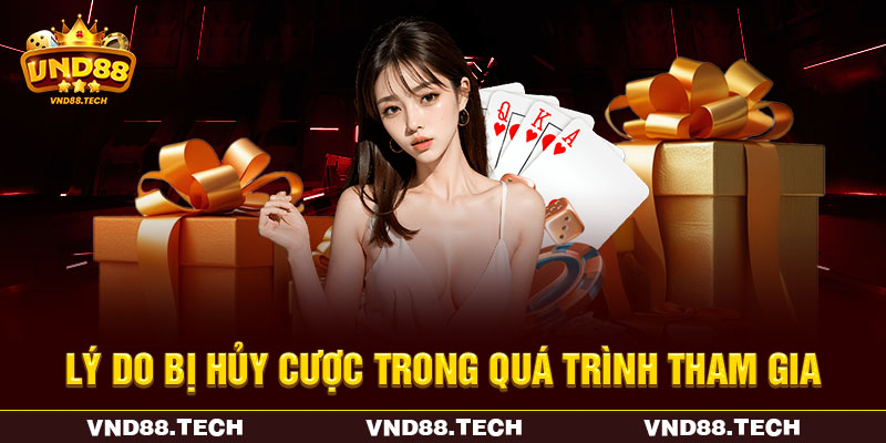 Lý do bị hủy cược trong quá trình tham gia