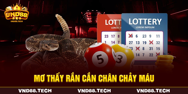 Mơ thấy rắn cắn chân chảy máu Mơ thấy rắn cắn chân chảy máu