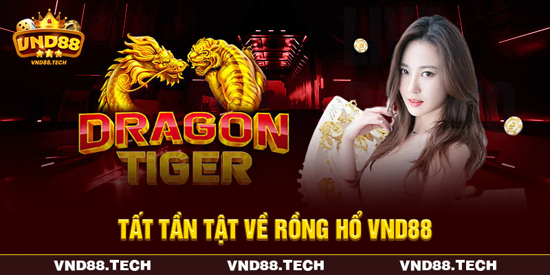 Tất tần tật về rồng hổ VND88 Tất tần tật về rồng hổ VND88