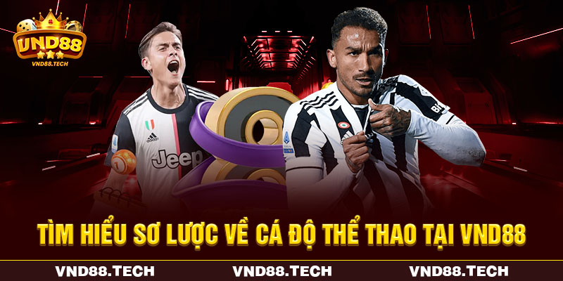 Tìm hiểu sơ lược về cá độ thể thao tại VND88 Tìm hiểu sơ lược về cá độ thể thao tại VND88