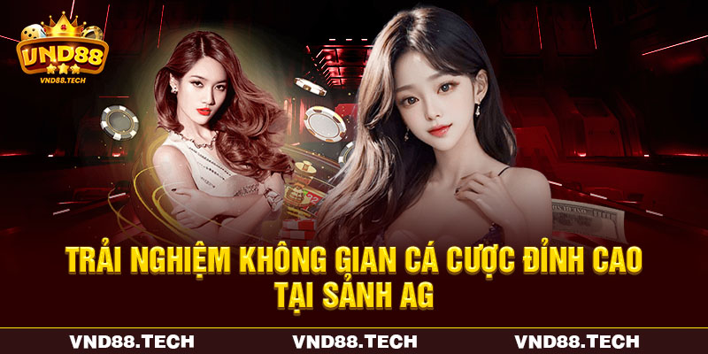 Trải nghiệm không gian cá cược đỉnh cao tại sảnh AG Trải nghiệm không gian cá cược đỉnh cao tại sảnh AG
